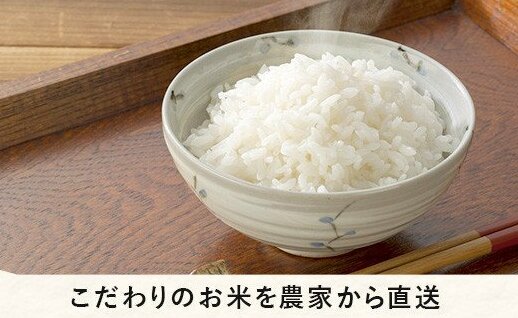 米 こしひかり 10kg × 6回 【 6か月 定期便 】( 令和5年産 ) 黒柳さん