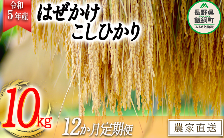 米 こしひかり 10kg × 12回 【 12か月 定期便 】( 令和5年産 ) 黒柳