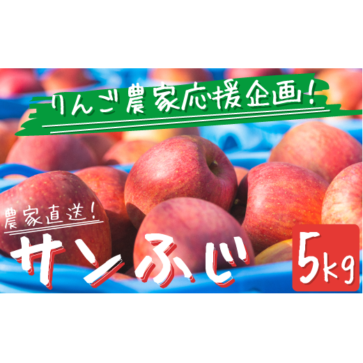 りんご サンふじ ５Kg 訳あり 〜 家庭用 【 リンゴ 林檎 訳アリ 果物