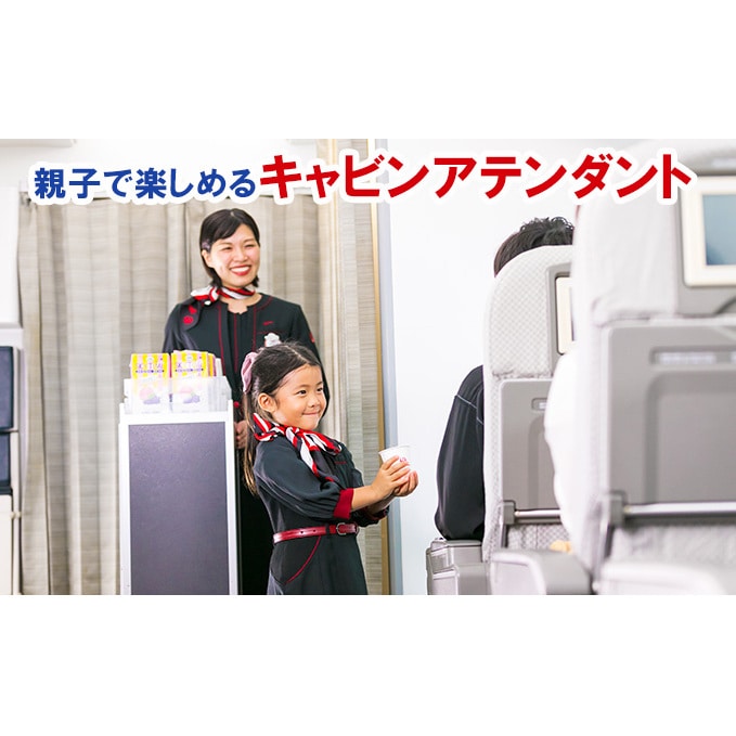 カンドゥー JAL 親子ペアチケット | www.sia-sy.net