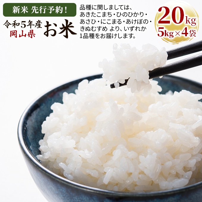 岡山県産きぬむすめ白米20kg(令和3年産) - 米/穀物