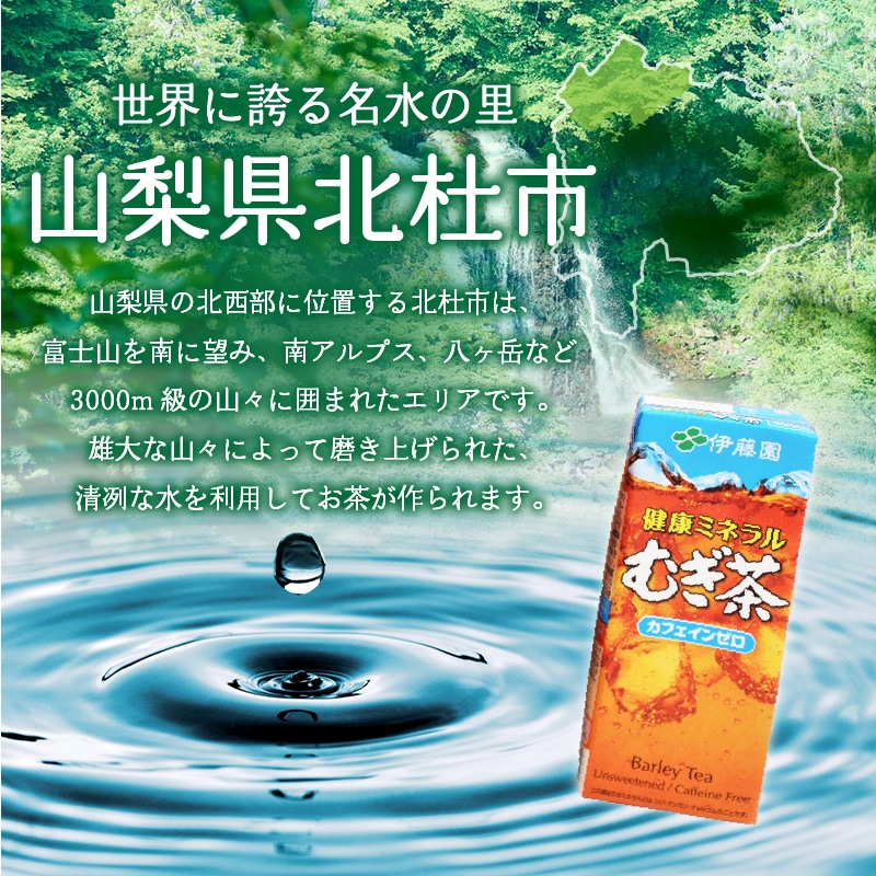 直販ネット ふるさと納税 香取市 2023年9月発送開始『定期便』 健康