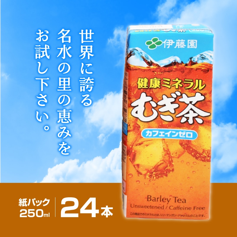 伊藤園　価格比較　健康ミネラルむぎ茶　紙パック(250ml*24本入)