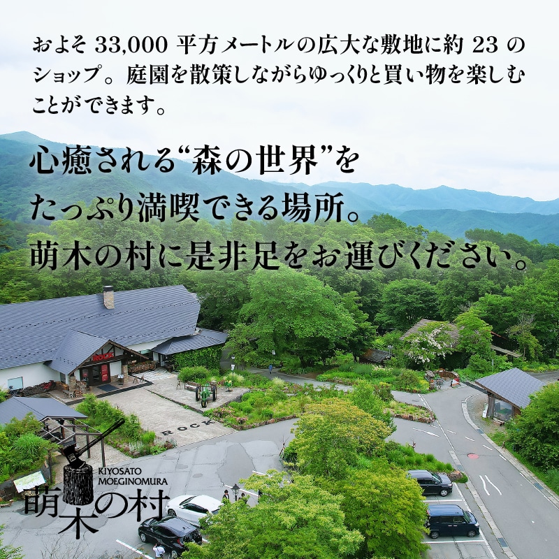 ふるさと納税】 【クリスマス 正月】 地ビール クラフトビール 飲み