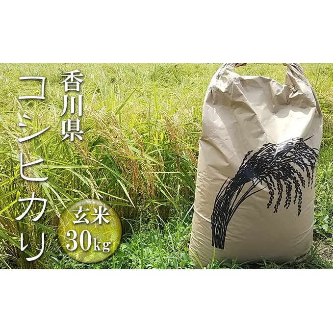 はなまる農園令和5年新米香川県産「コシヒカリ（玄米）30kg」