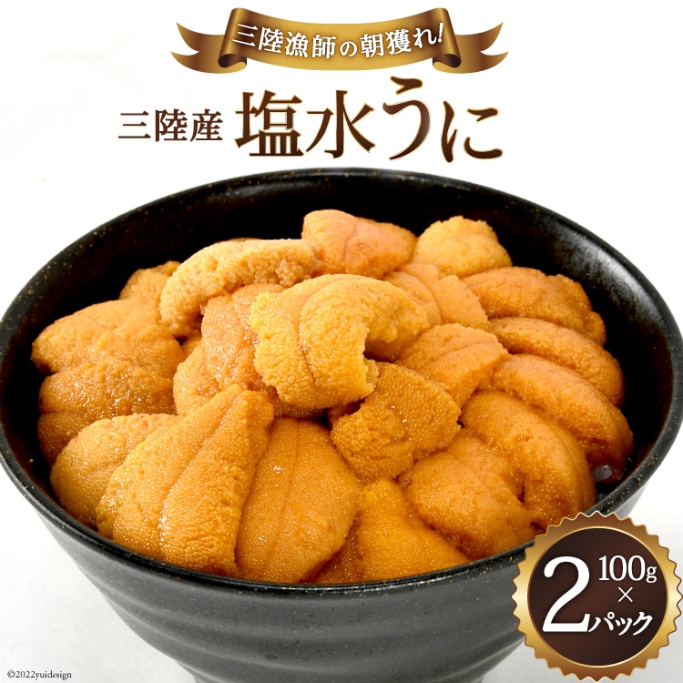 先行予約＞三陸産塩水うに 100g×2パック うに 塩水 ウニ 雲丹 冷蔵