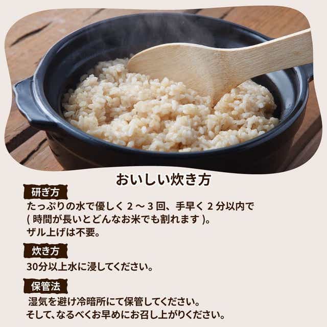 先行予約】令和5年産 茨城県産 ミルキークイーン 玄米2kg｜このお米は