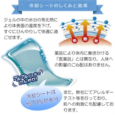 ひえひえ天国 冷却シート 10時間 大人用 30箱入り(16枚x30箱=480枚