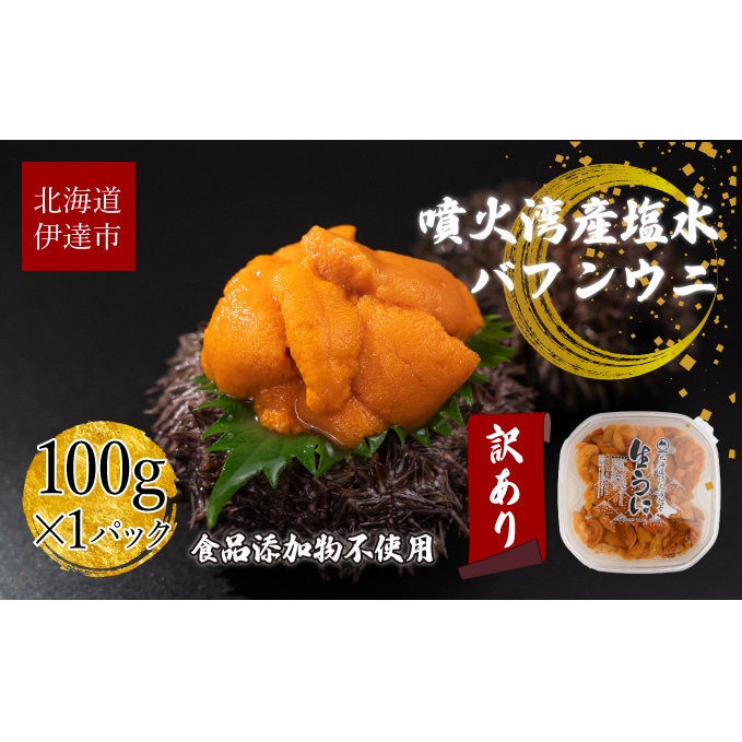 訳あり 北海道 噴火湾産 塩水 バフンウニ 100g ばふんうに うに ウニ