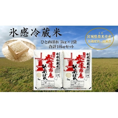 令和４年 宮城県登米市産 ひとめぼれ 玄米10kg×２袋