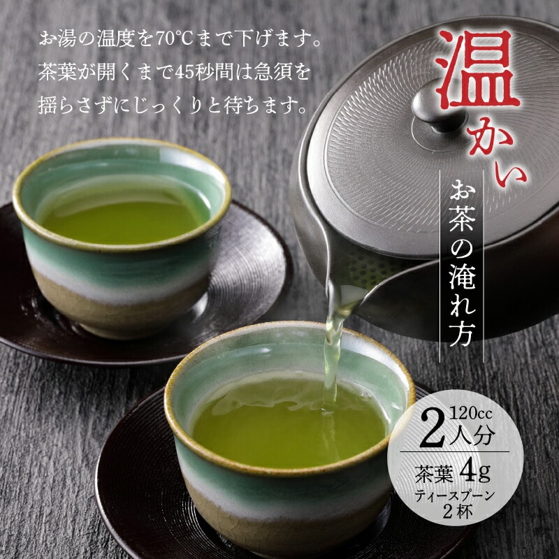 緑茶100g 3本セット