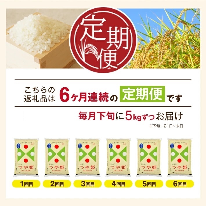 SF0109 【6回定期便】令和5年産 無洗米 特別栽培米 つや姫 5kg×6回(計