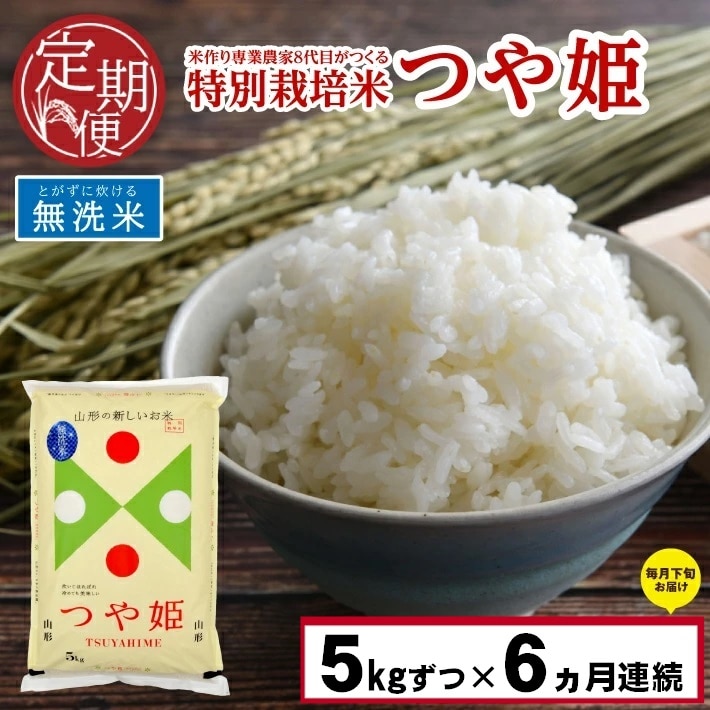 SF0109 【6回定期便】令和5年産 無洗米 特別栽培米 つや姫 5kg×6回(計
