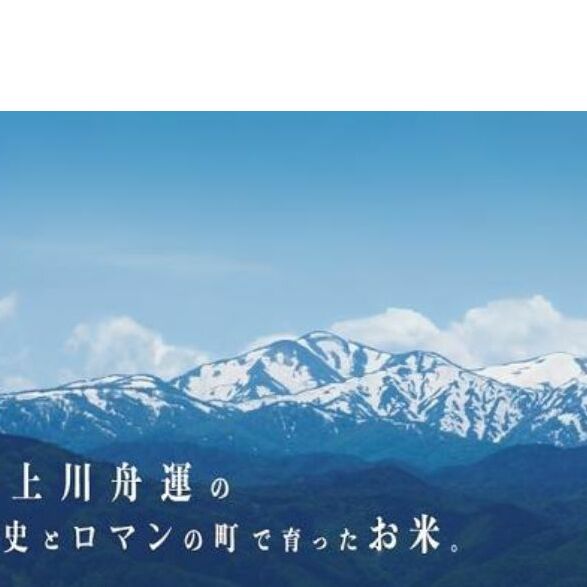 2ヶ月】令和4年産特A・一等米 大江町産つや姫10kg（精米・5kg×2