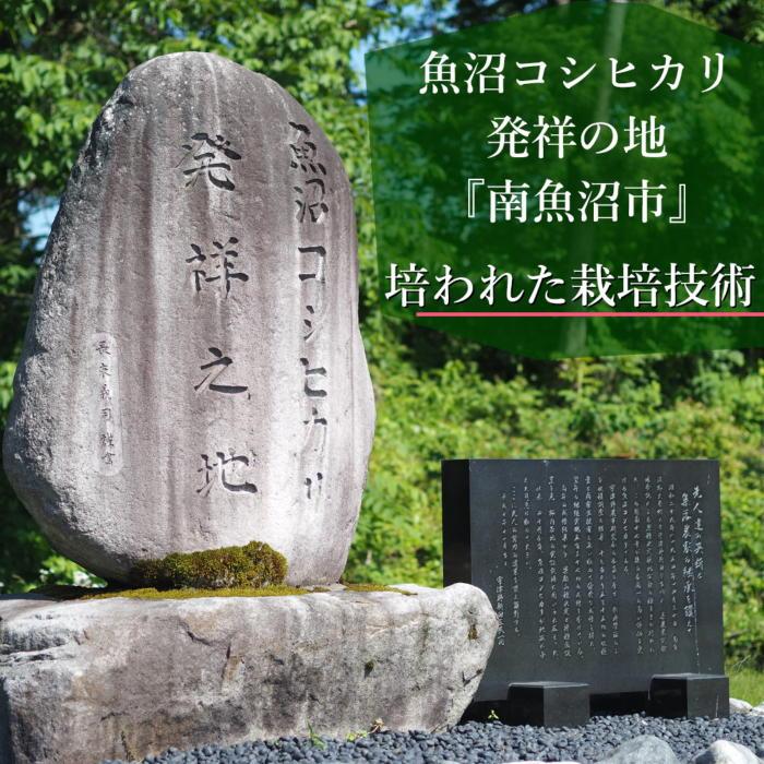 令和5年産新米予約 JA発定期便】特別栽培米南魚沼産こしひかり8割減