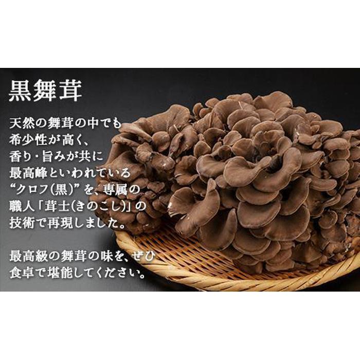 朝採れ株舞茸 約1.2kg（約400g×3株）