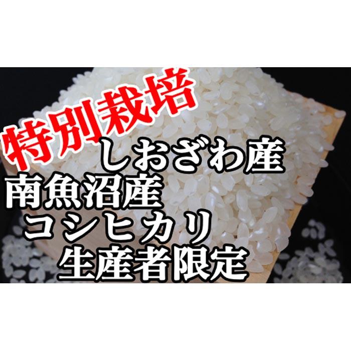 定期便：20Kg×12ヶ月】特別栽培 生産者限定 南魚沼しおざわ産