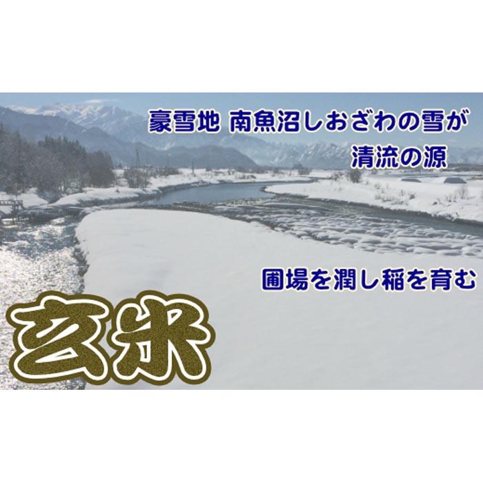 定期便】玄米 生産者限定 南魚沼しおざわ産コシヒカリ5Kg×12ヶ月: 新潟