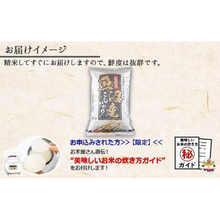 定期便】 新潟県 南魚沼産 コシヒカリ お米 30kg×計6回 精米済み 半年