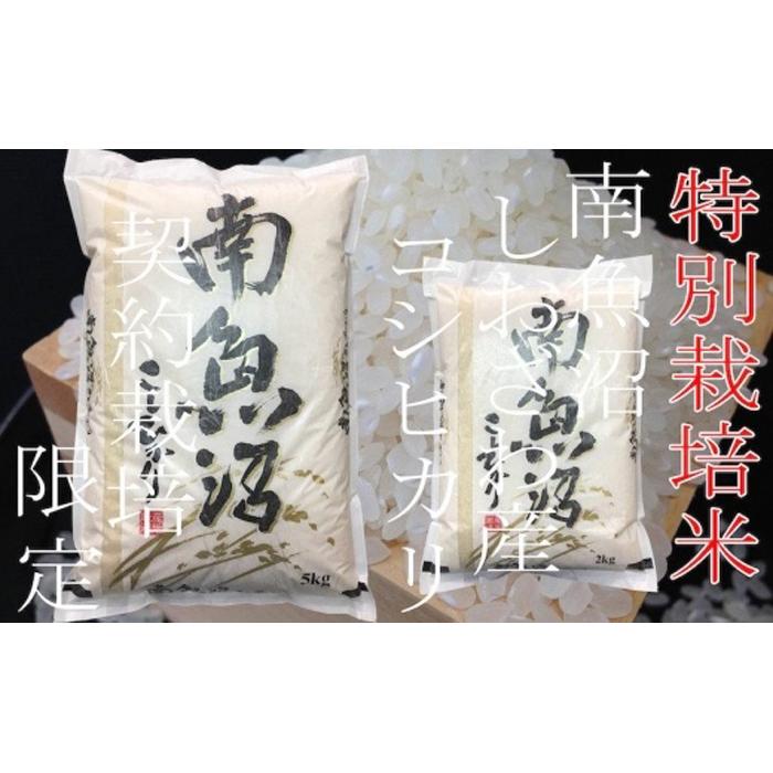 定期配送5Kg×6ヶ月】特別栽培 生産者限定 南魚沼しおざわ産コシヒカリ