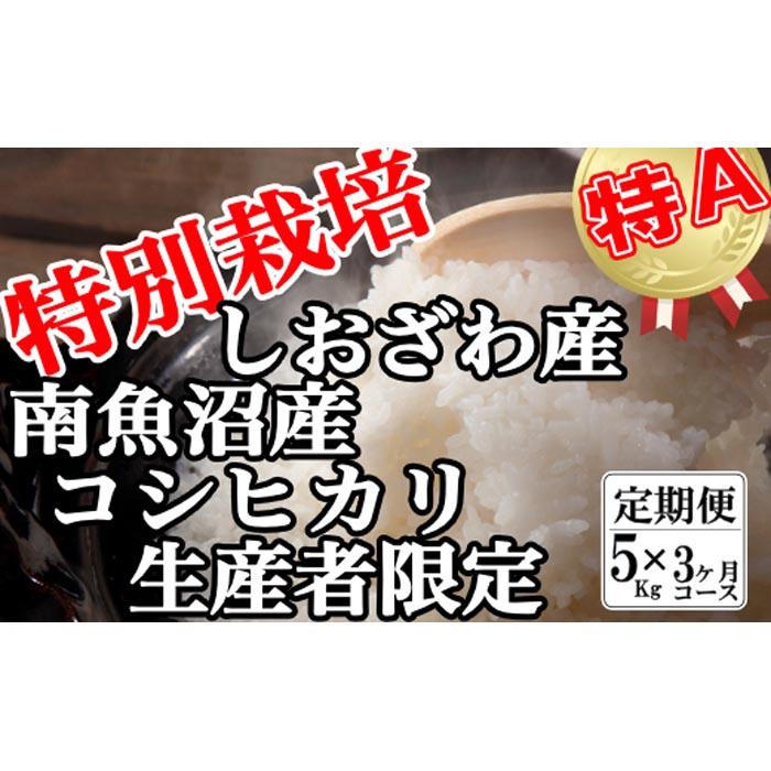 定期便：5Kg×3ヶ月】特別栽培 生産者限定 南魚沼しおざわ産コシヒカリ