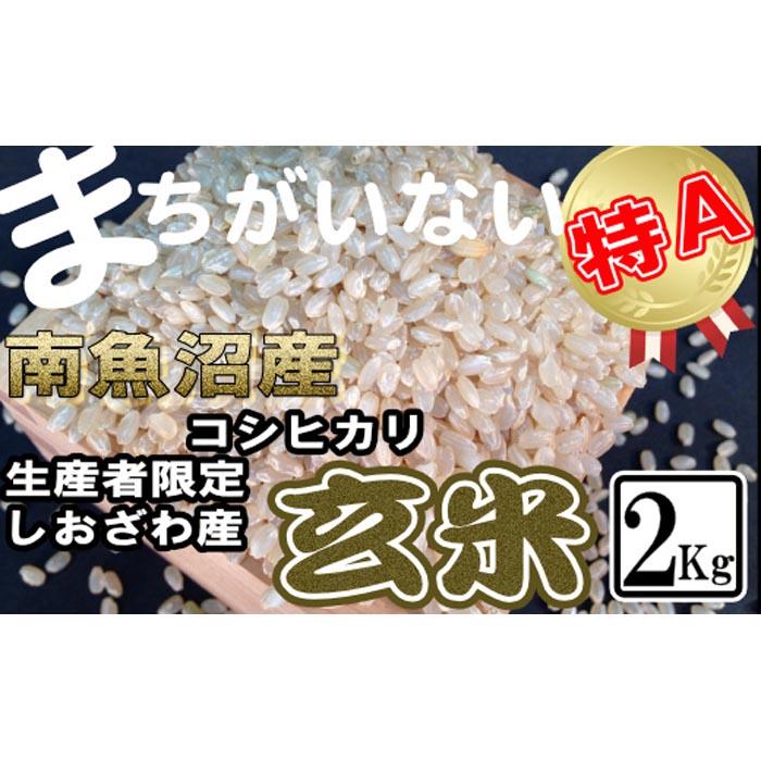 玄米 生産者限定 南魚沼しおざわ産コシヒカリ2Kg: 新潟県南魚沼市｜JRE