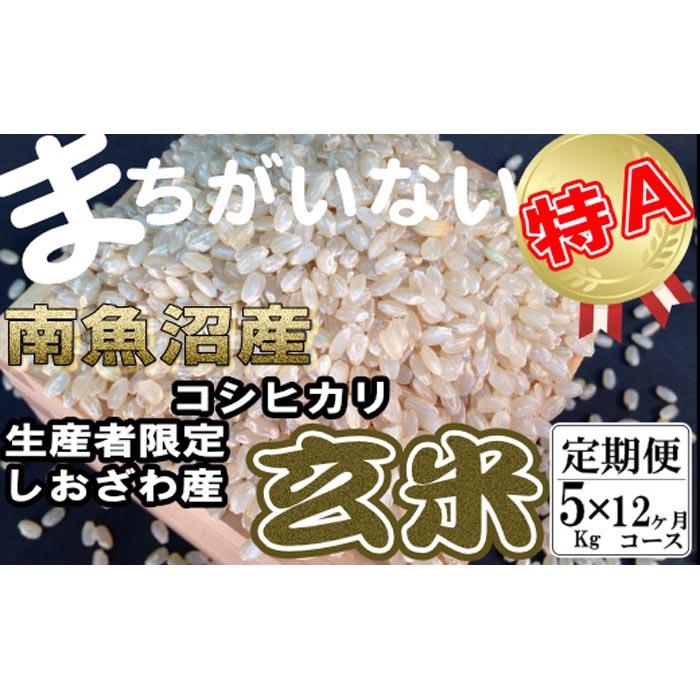 定期便】玄米 生産者限定 南魚沼しおざわ産コシヒカリ5Kg×12ヶ月: 新潟