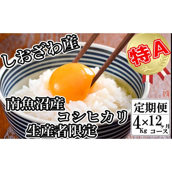 定期便／４kg×12ヶ月】生産者限定 契約栽培 南魚沼しおざわ産