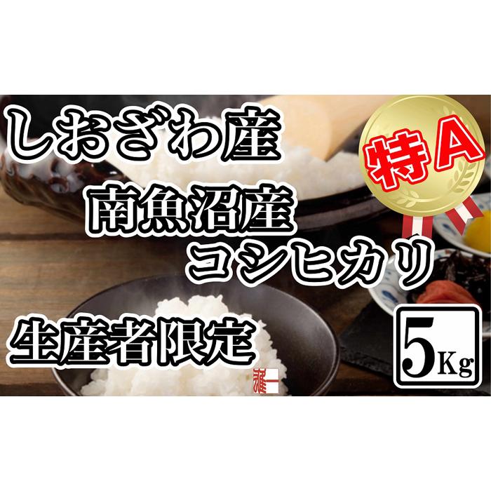 生産者限定 契約栽培 南魚沼しおざわ産コシヒカリ5Kg: 新潟県南魚沼市