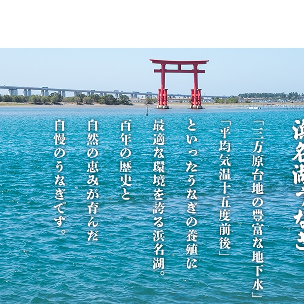 ふるさと納税 【浜名湖産】うなぎ蒲焼き（真空パック）×3本 タレ・山椒