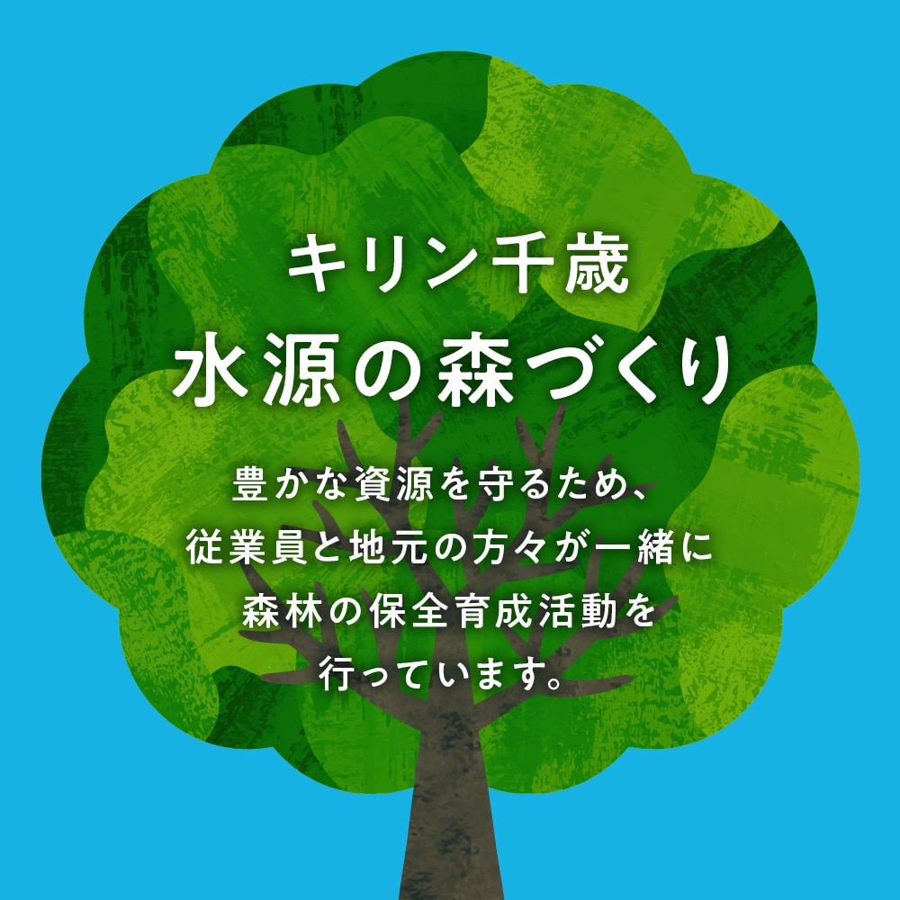 定期便3ヶ月】キリン一番搾り生ビール＜北海道千歳工場産＞350ml 2