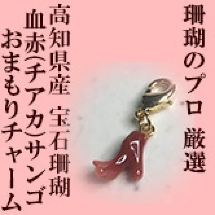 本物の宝石珊瑚】小さい血赤サンゴ枝御守チャーム 高知県産血赤サンゴ