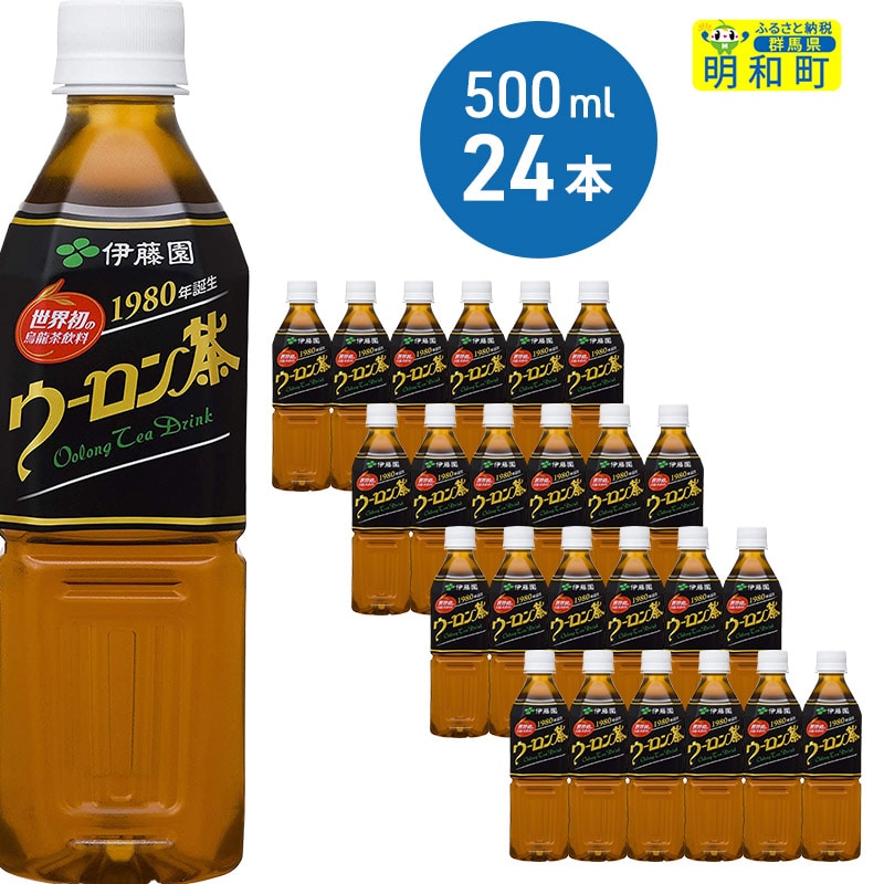 サントリー 烏龍茶 500mlペットボトル×24本入×(2ケース)｜ 送料無料