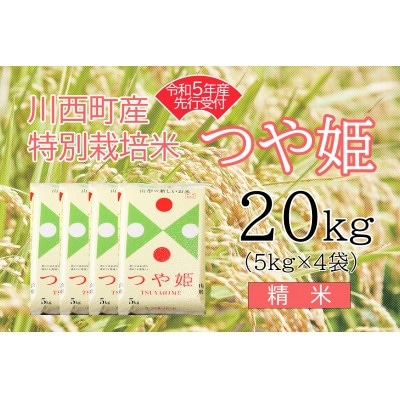 令和5年産 つや姫20kg 精米 真空パック詰【1121442】: 山形県川西町