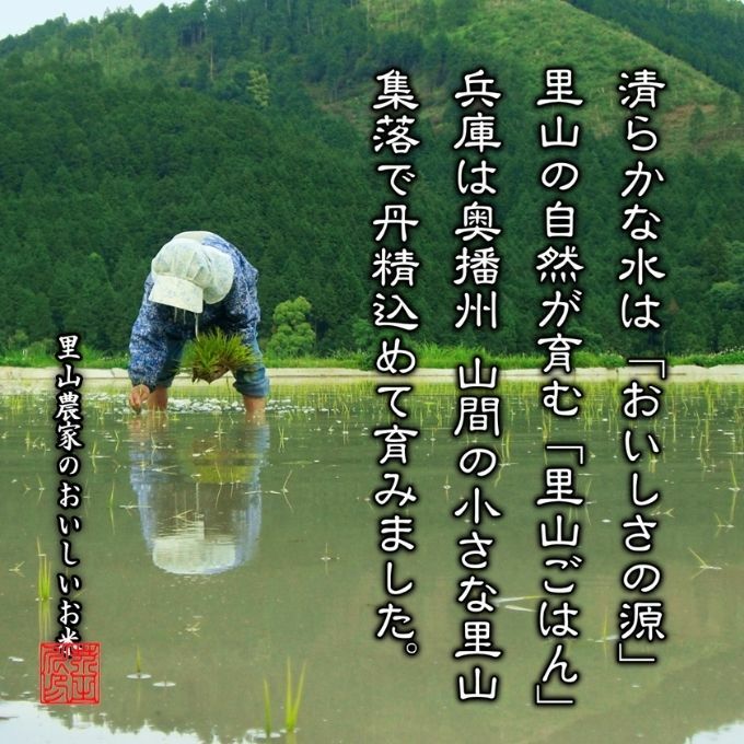 米 【新米予約 令和5年産】 ヒノヒカリ 5kg 精米 奥播州源流 芥田川産