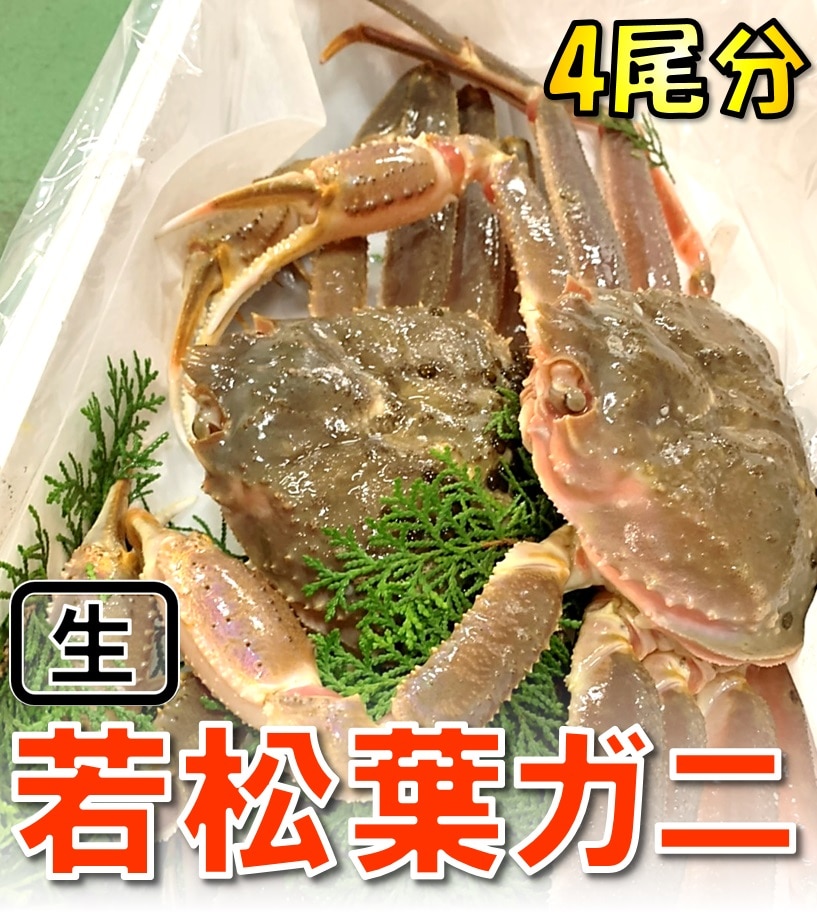 魚介・海産物/カニ(6ページ)の返礼品一覧｜JRE MALLふるさと納税