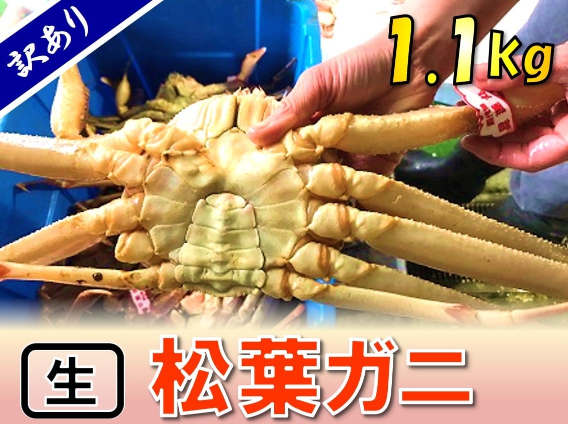 魚介・海産物/カニ(6ページ)の返礼品一覧｜JRE MALLふるさと納税