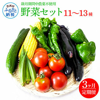 野菜セット（11‐13種類）《3カ月定期便》 栽培期間中農薬不使用！ 季節