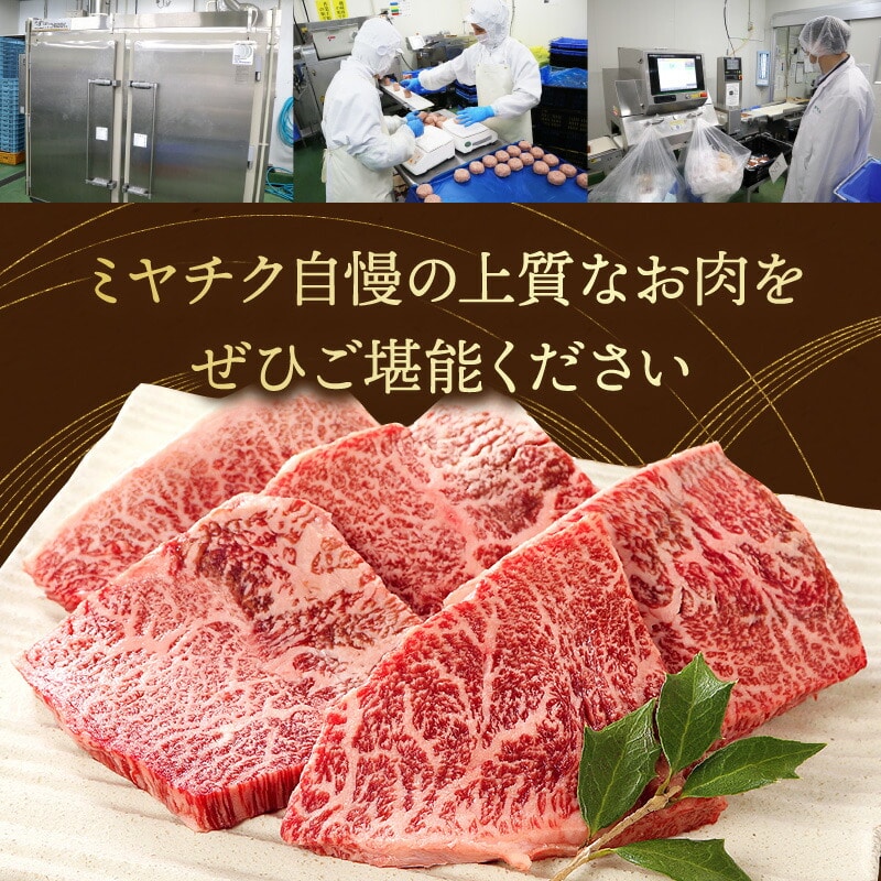 宮崎牛】ヒレ ステーキ150g×3_M132-001_04: 宮崎県宮崎市｜JRE MALL