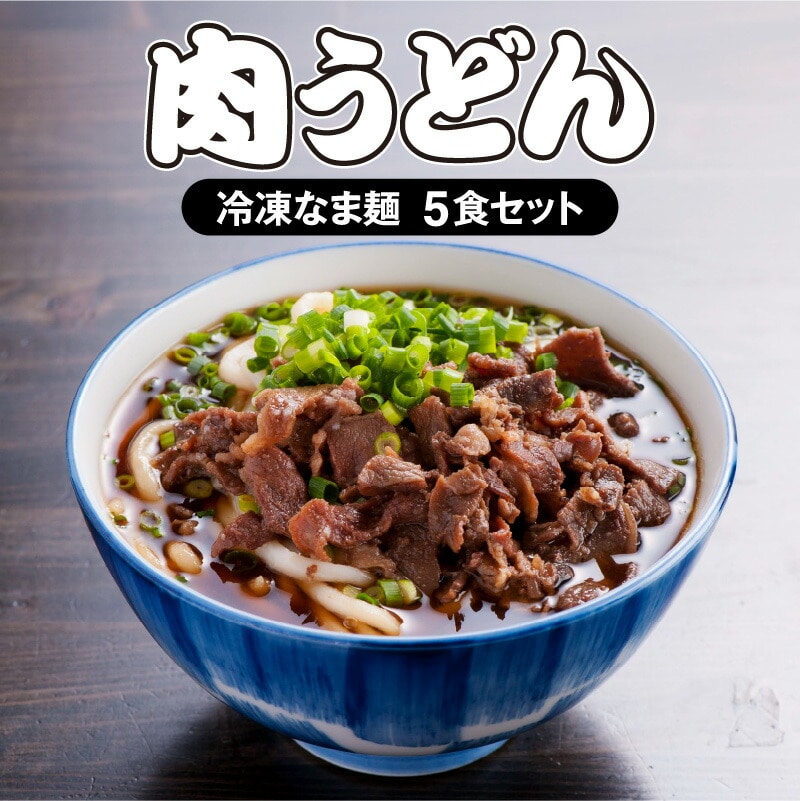 大盛うどん＞肉うどん 冷凍なま麺 5食セット_M253-002: 宮崎県宮崎市