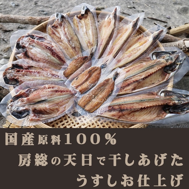 ふるさと納税 千葉県 鴨川市 【選べる定期便】脂の乗った『とろさば