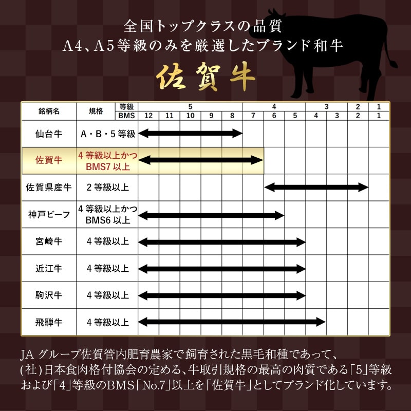 佐賀牛 A5等級上 ももブロック800g ビーフシチュー 煮込み