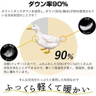 洗える羽毛肌掛け布団ダブルサイズダウン90%0.5kgダウンケット