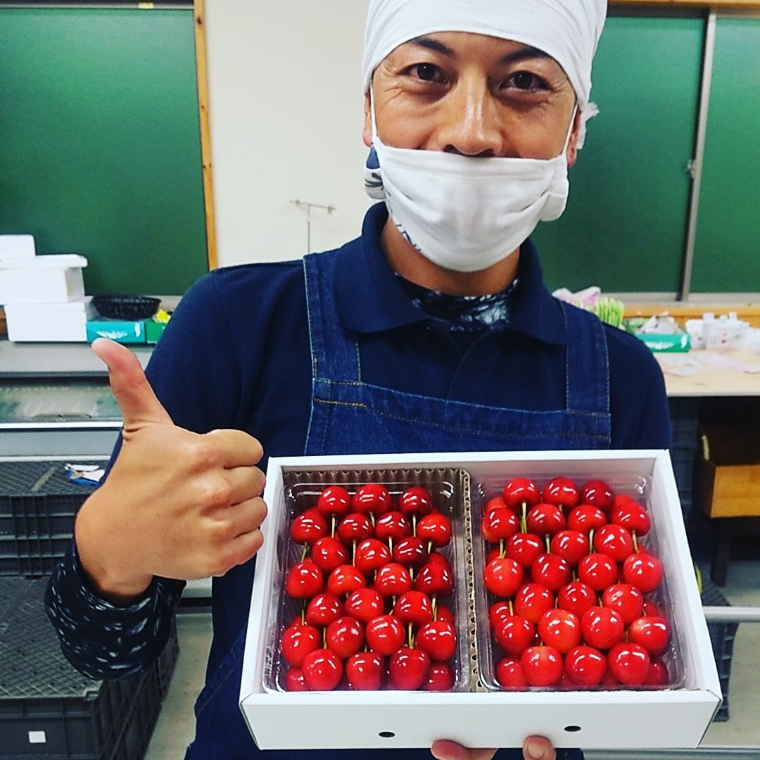 東北 岩手県盛岡産 アメリカンチェリーと佐藤錦を掛け合わせ さくらんぼ 木に生るルビー 紅てまり ２ｌサイズ １ｋｇ詰め 送料込 6 15まで お取り寄せきっぷ Jre Pointが 貯まる 使える Jre Mall