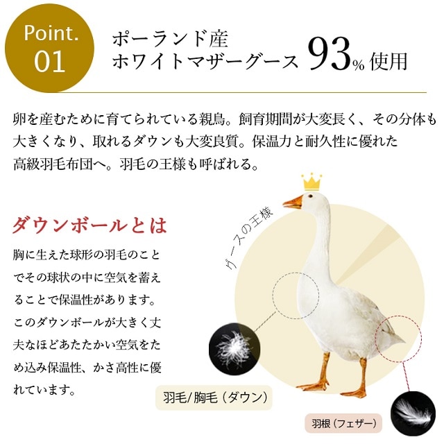 限定価格】柄おまかせ 日本製 プレミアムゴールドラベル付 羽毛