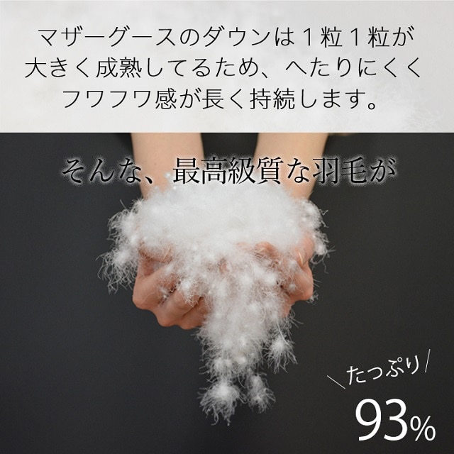 ふるさと納税 三重県 松阪市 【34-1】ザ・羽毛布団 プレミアムゴールド