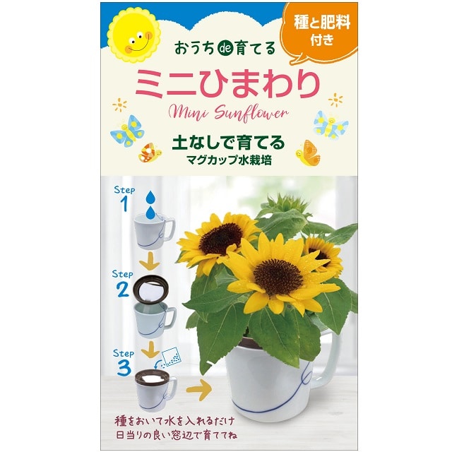 マグカップ水栽培 お花 ６種セット （ビオラ、ミニひまわり、ミニけ