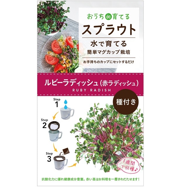 マグカップ水栽培 スプラウト ルビーラディッシュ3個セット 送料込 暮らしなでしこ Jre Pointが 貯まる 使える Jre Mall