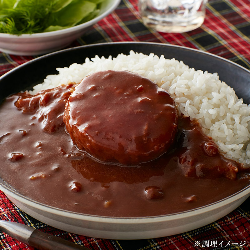 3食セット]鶏屋シリーズ ハンバーグカレー（辛口）180g×3袋 送料無料 博多華味鳥 華味鳥 カレー レトルトカレー ハンバーグ: SAVE  FUN（セイブファン）｜JRE MALL