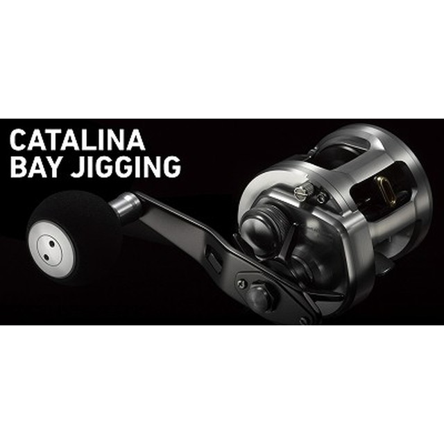 ダイワ（Ｄａｉｗａ） １５キャタリナ ＢＪ１００Ｈ （右ハンドル